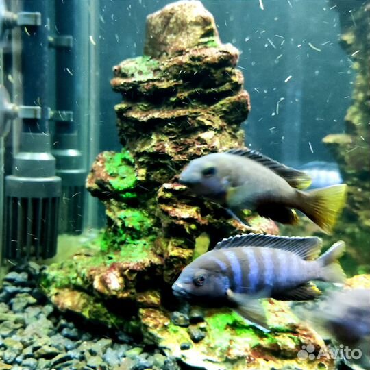 Грот для аквариума