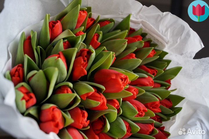 Тюльпаны на 8 марта (не как в магазинах), доставка