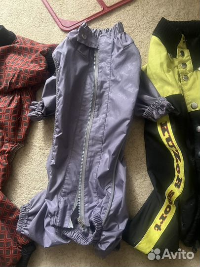 Одежда для средних собак