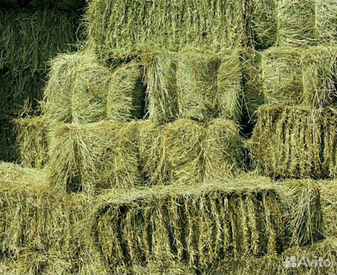 Сено луговое