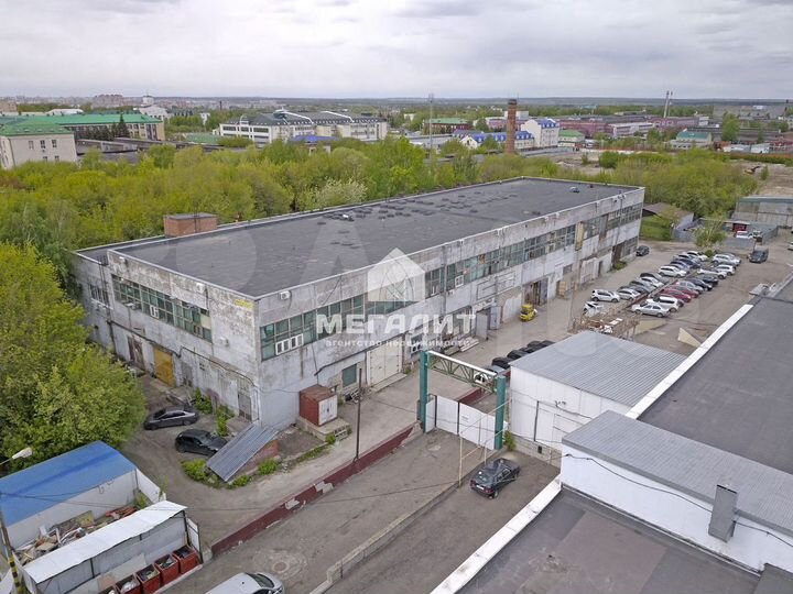 Подвальные помещения 892 м2