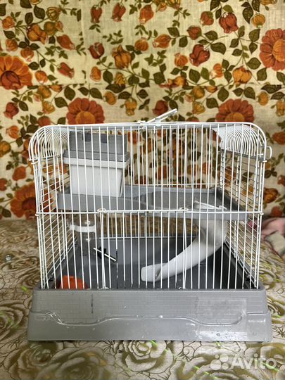 Клетка для грызунов бу шар triol