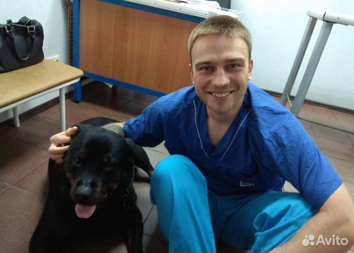 Ветеринарный врач с выездом