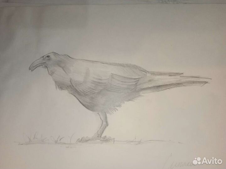 Наброски и зарисовки форматА3