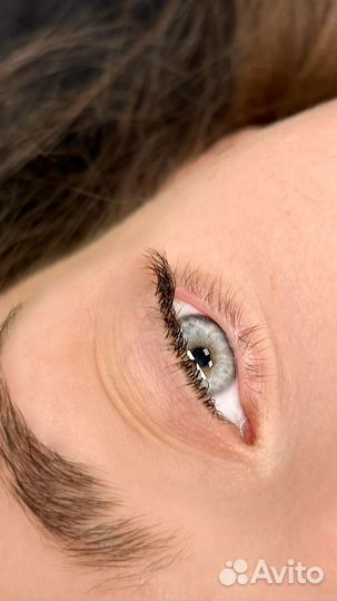 Базовый курс по наращиванию ресниц