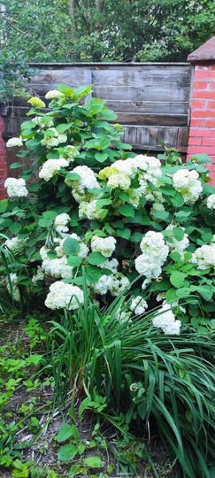 Дом 93 м² на участке 17 сот.