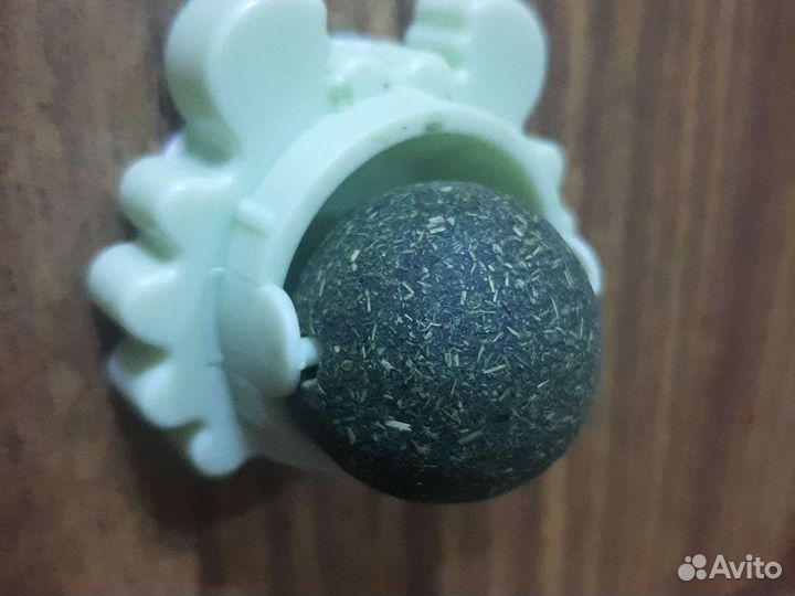 Кошачья мята