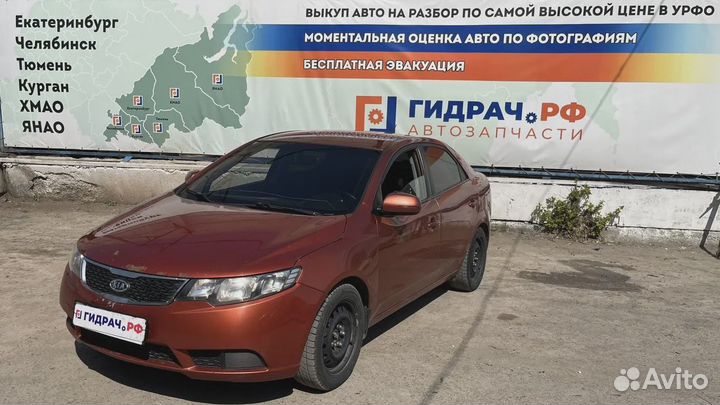 Уплотнитель стекла двери задний правый Kia Cerato