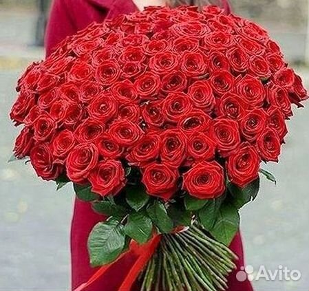 Розы высокие 150 160 170 180 190 200см