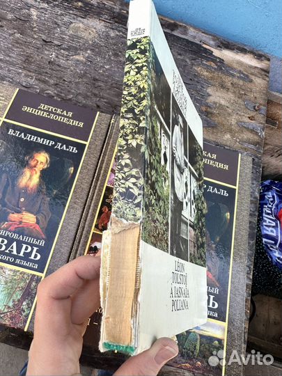 Книга Лев Толстой и ясная поляна