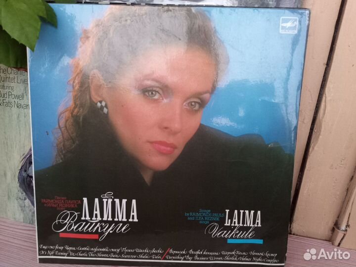 Виниловые пластинки-эстрада+Высоцкий(33LP)