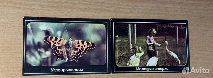 Календари СССР