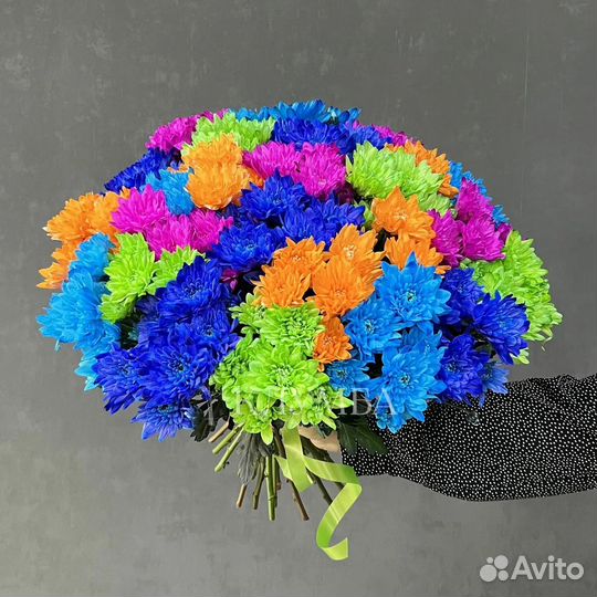 Хризантема