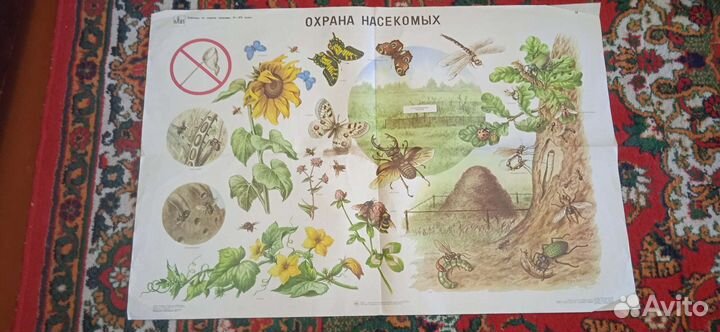 Школьные плакаты и не только