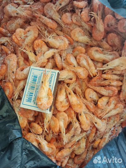 Азовская креветка