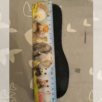 Коньки хоккейные oroks 31