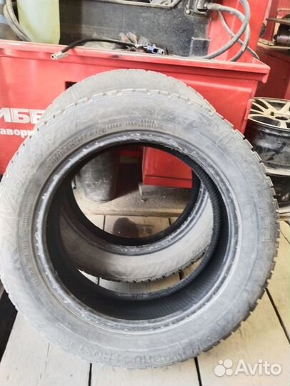 Gislaved NordFrost 100 205/55 R16