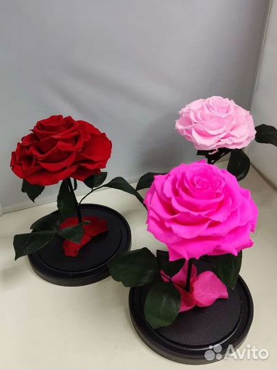 Роза в колбе