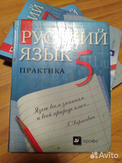 Русский язык 5-8 классы