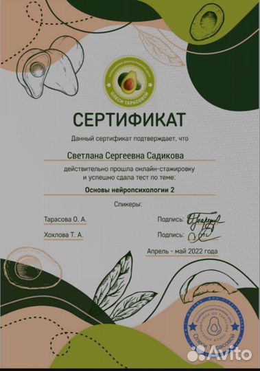 Развивающие занятия на дому