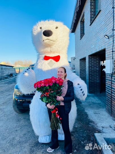 Белый мишка поздравление Ростовой медведь аниматор