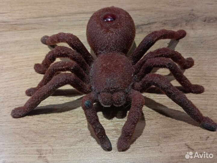 Паук на пульте управления