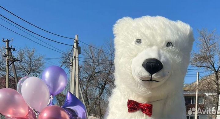 Белый мишка поздравление