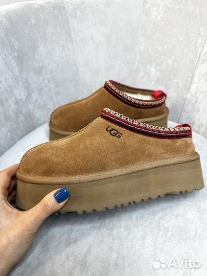 Угги UGG tazz tasman chestnut в наличии