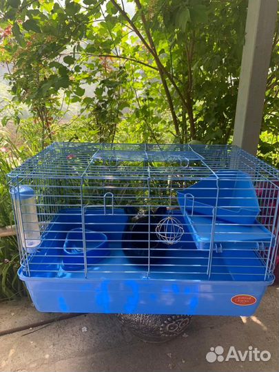 Клетка для грызунов