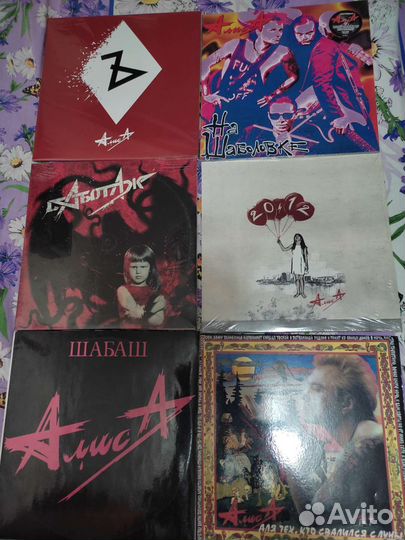 Пластинки Алиса, Чайф