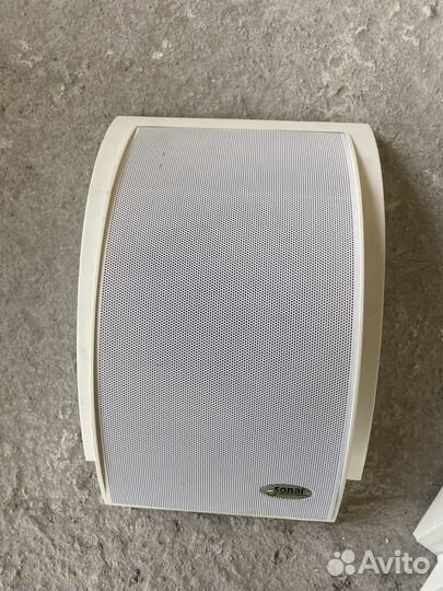 Оповещатель Sonar