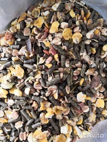 Клетки, корма, лакомства и аксессуары для грызунов