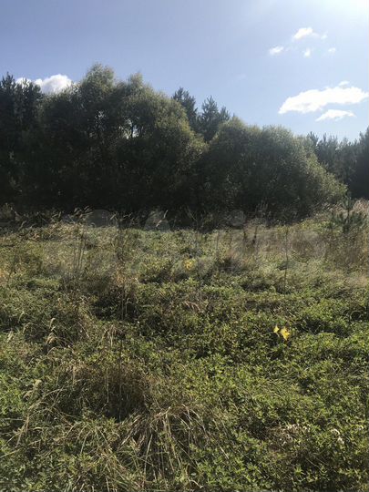 Участок 11 сот. (ИЖС)