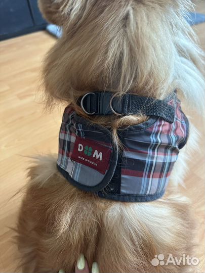 Шлейка для собаки
