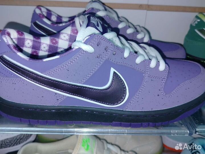 Nike sb dunk low purple lobster