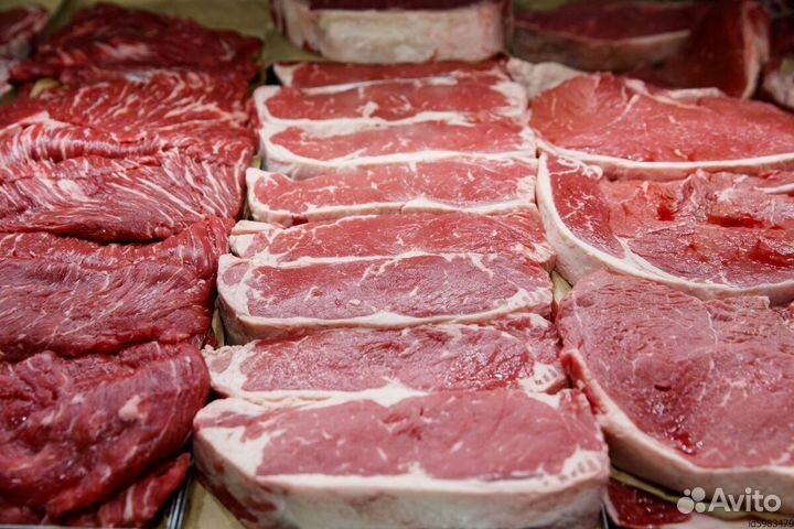 Мясо говядина от производителя