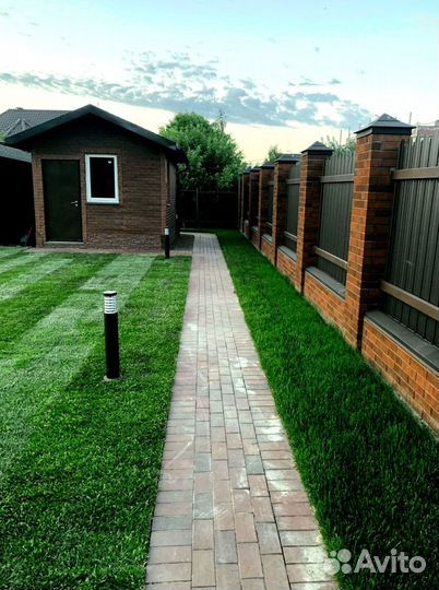 Рулонный газон