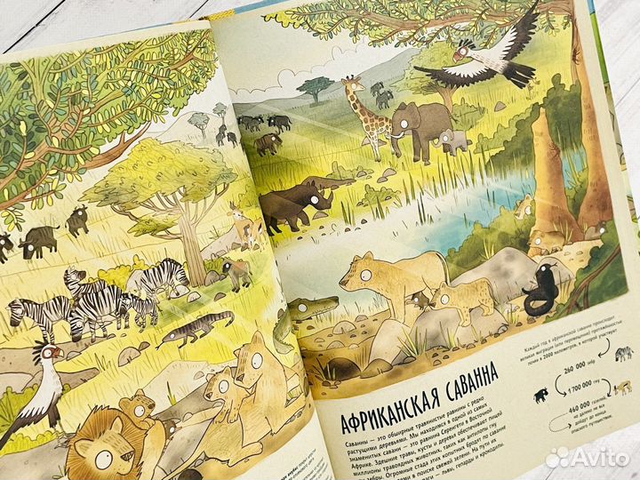 Удивительное путешествие в мир животных