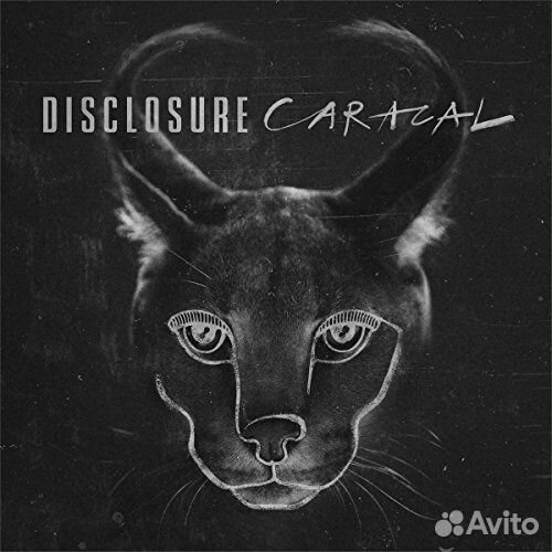 Disclosure: Caracal (1 CD)