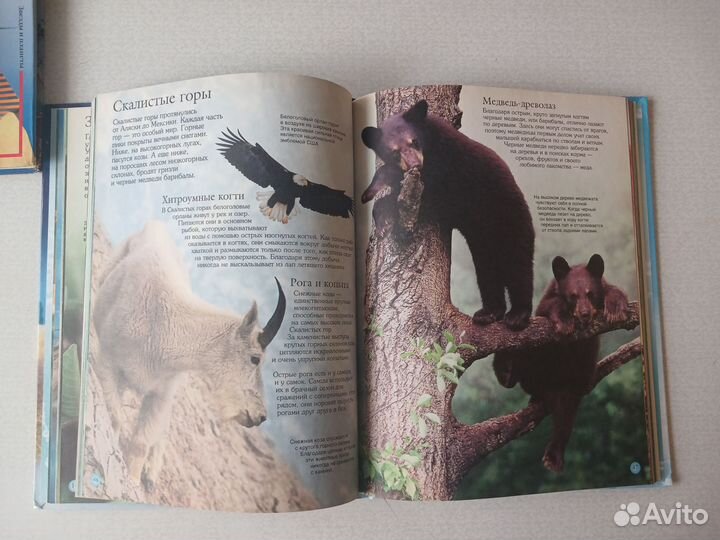 Детские интересные книги.15 книг