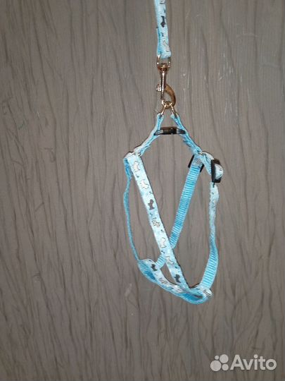 Шлейка для кошек и маленьких собак