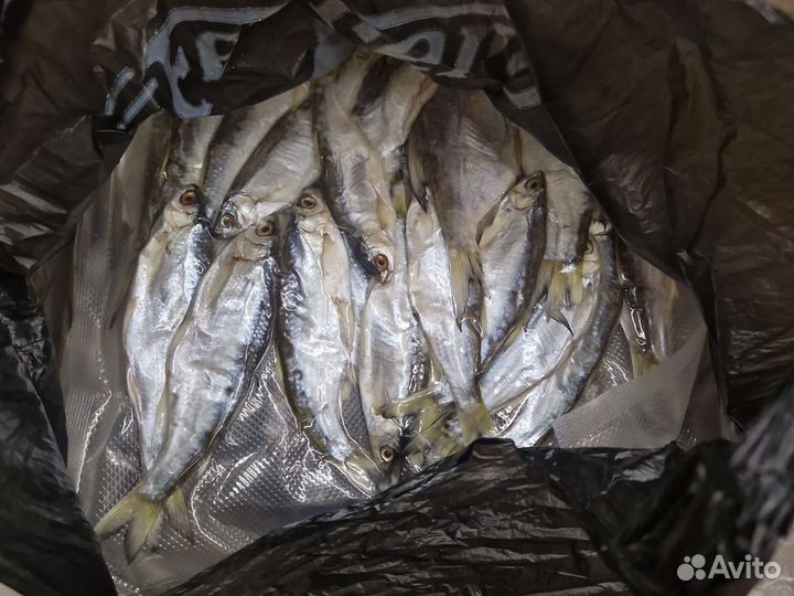 Вяленая рыба