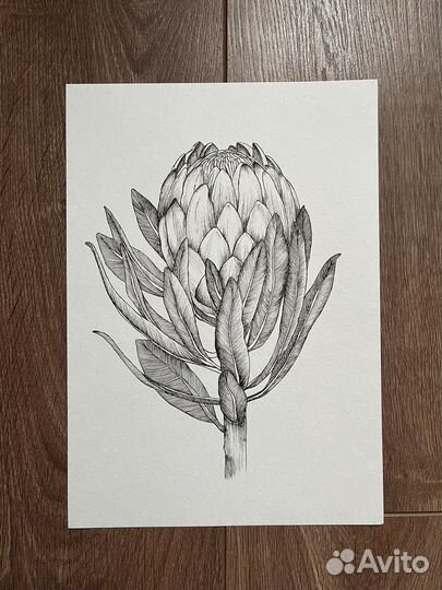 Картина графика