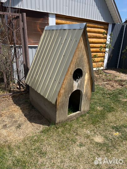 Собачья будка