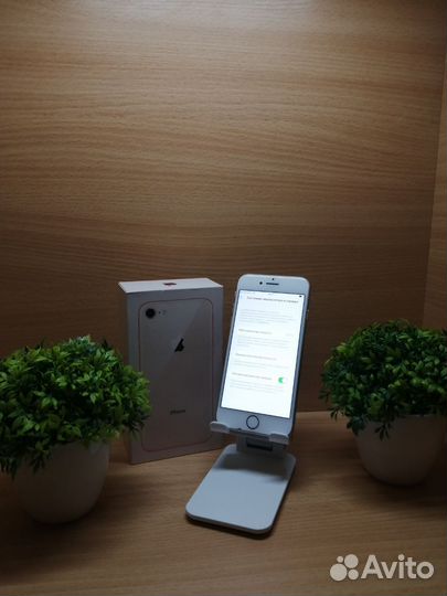 iPhone 8, 64 ГБ