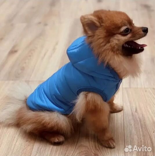 Куртка/жилет для собак