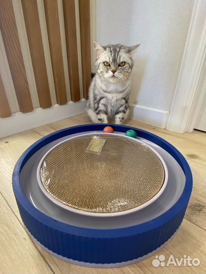 Когтеточка игрушка лежанка для кошки