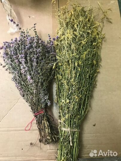 Веники для бани