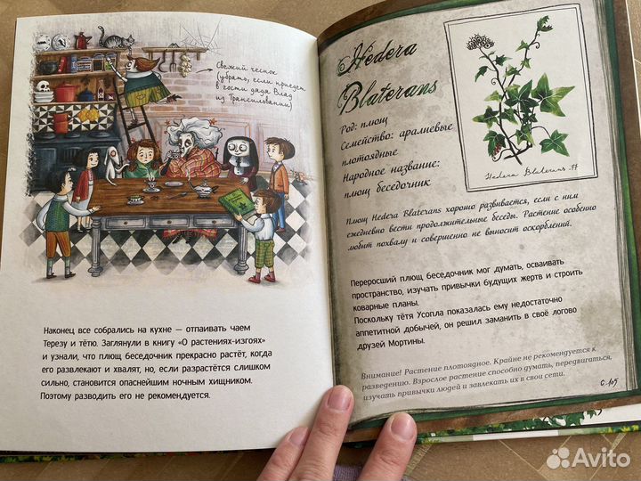 Книга Мортина и Нежданный гость (Барбара Кантини)