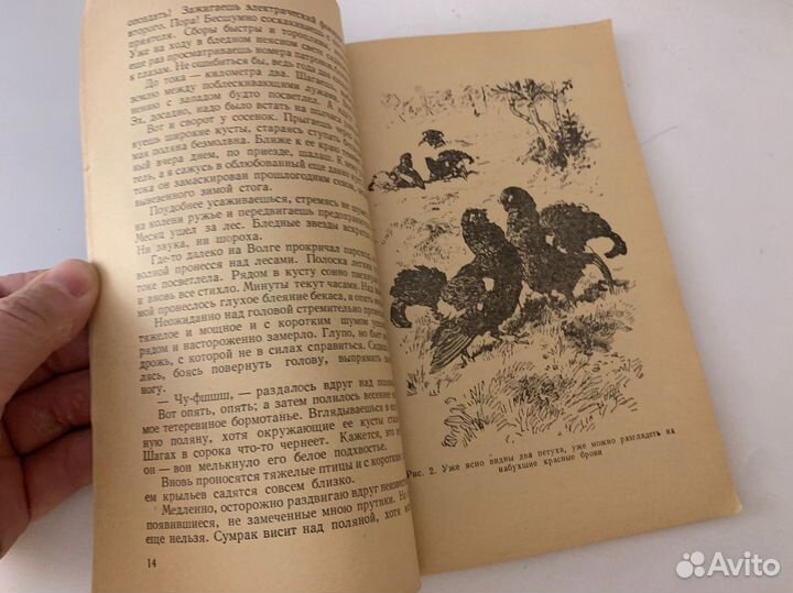 Ильин, Панов Ружейно-спортивная охота